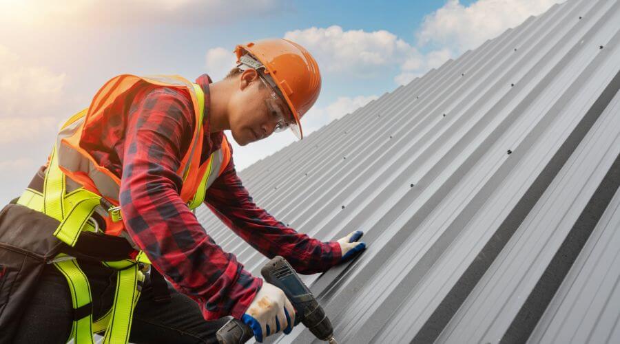 Professional gutter cleaning in Wesley Chapel, FL